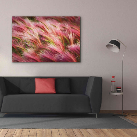 Image of 'Foxtail Barley II' by Alan Majchrowicz,Giclee Canvas Wall Art,60x40