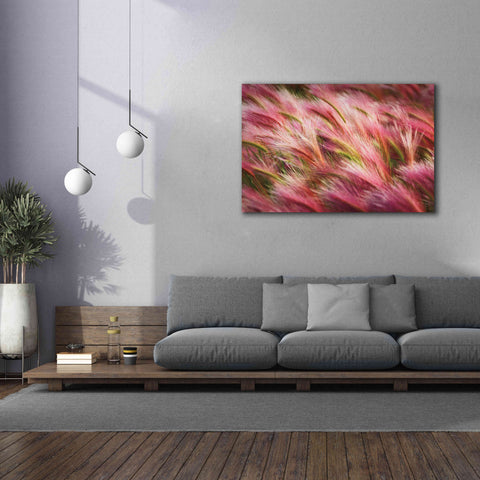 Image of 'Foxtail Barley II' by Alan Majchrowicz,Giclee Canvas Wall Art,60x40