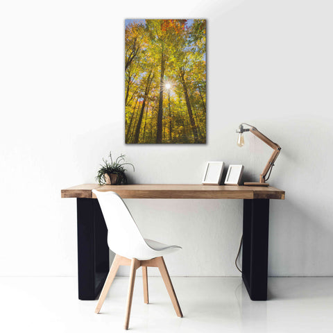 Image of 'Autumn Foliage Sunburst III' by Alan Majchrowicz,Giclee Canvas Wall Art,26x40
