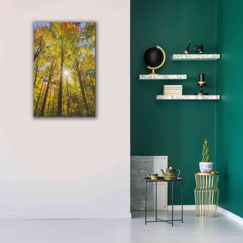 Image of 'Autumn Foliage Sunburst III' by Alan Majchrowicz,Giclee Canvas Wall Art,26x40