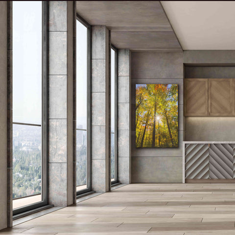 Image of 'Autumn Foliage Sunburst III' by Alan Majchrowicz,Giclee Canvas Wall Art,40x60