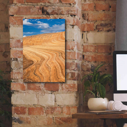 Image of 'Coyote Buttes V' by Alan Majchrowicz,Giclee Canvas Wall Art,12x18