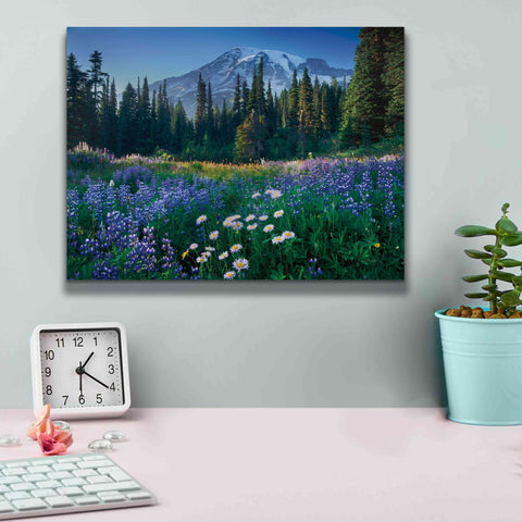 Image of 'Mount Rainier' by Alan Majchrowicz,Giclee Canvas Wall Art,16x12