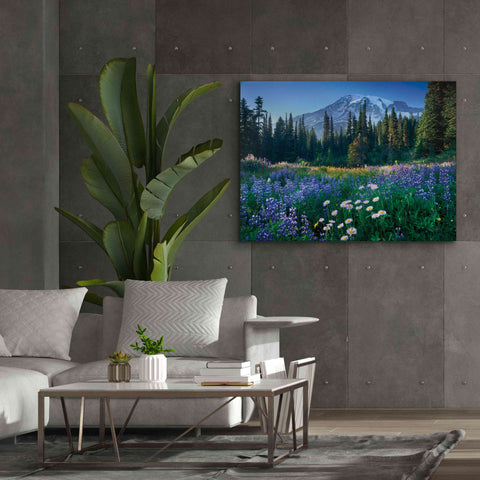 Image of 'Mount Rainier' by Alan Majchrowicz,Giclee Canvas Wall Art,54x40