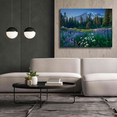 Image of 'Mount Rainier' by Alan Majchrowicz,Giclee Canvas Wall Art,54x40