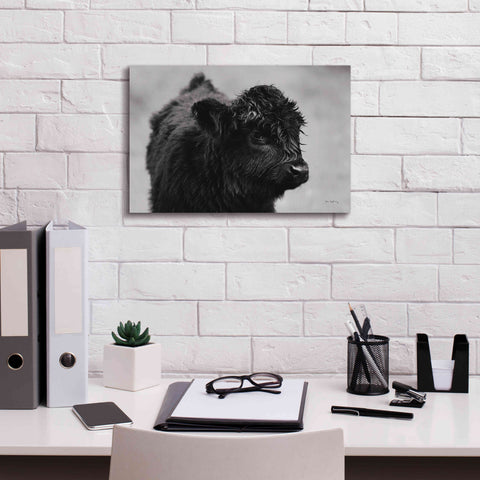 Image of 'Scottish Highland Cattle XI BW' by Alan Majchrowicz,Giclee Canvas Wall Art,18x12