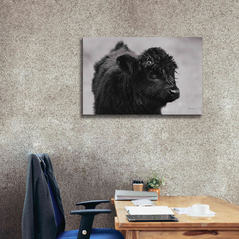 Image of 'Scottish Highland Cattle XI BW' by Alan Majchrowicz,Giclee Canvas Wall Art,40x26