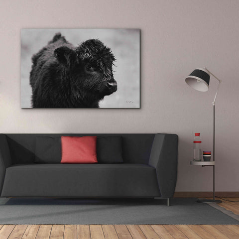 Image of 'Scottish Highland Cattle XI BW' by Alan Majchrowicz,Giclee Canvas Wall Art,60x40