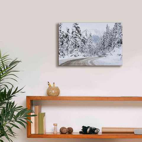 Image of 'Mount Baker Highway I' by Alan Majchrowicz,Giclee Canvas Wall Art,18x12