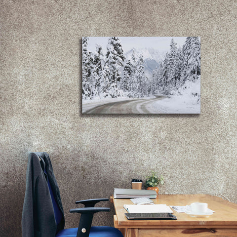 Image of 'Mount Baker Highway I' by Alan Majchrowicz,Giclee Canvas Wall Art,40x26