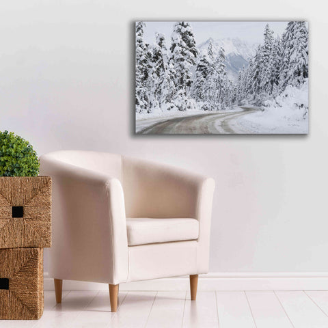 Image of 'Mount Baker Highway I' by Alan Majchrowicz,Giclee Canvas Wall Art,40x26