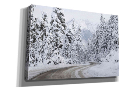 'Mount Baker Highway I' by Alan Majchrowicz,Giclee Canvas Wall Art