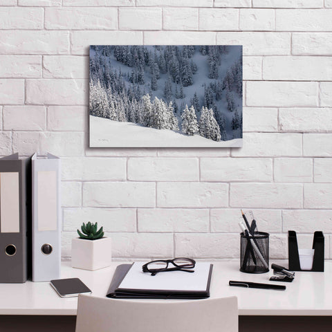 Image of 'North Cascades in Winter III' by Alan Majchrowicz,Giclee Canvas Wall Art,18x12