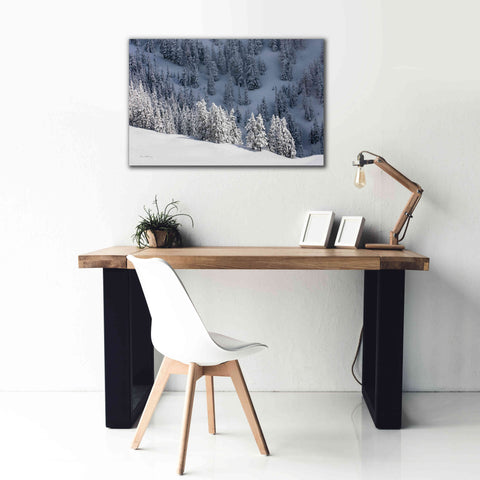 Image of 'North Cascades in Winter III' by Alan Majchrowicz,Giclee Canvas Wall Art,40x26