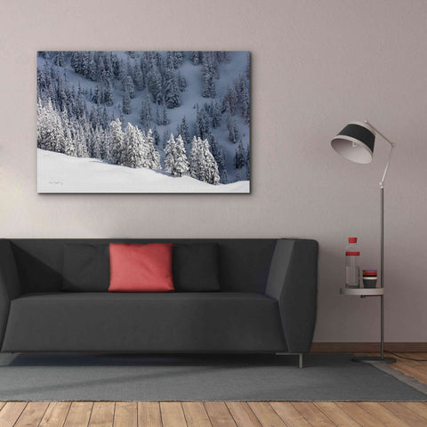 Image of 'North Cascades in Winter III' by Alan Majchrowicz,Giclee Canvas Wall Art,60x40