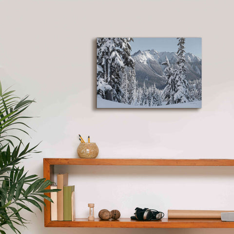 Image of 'Nooksack Ridge in Winter' by Alan Majchrowicz,Giclee Canvas Wall Art,18x12