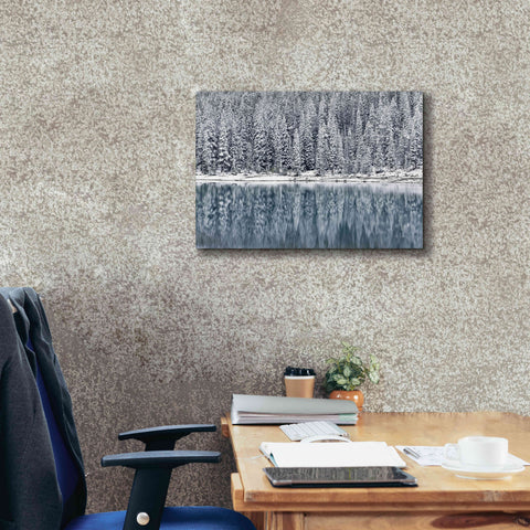 Image of 'Winter Reflections' by Alan Majchrowicz,Giclee Canvas Wall Art,26x18