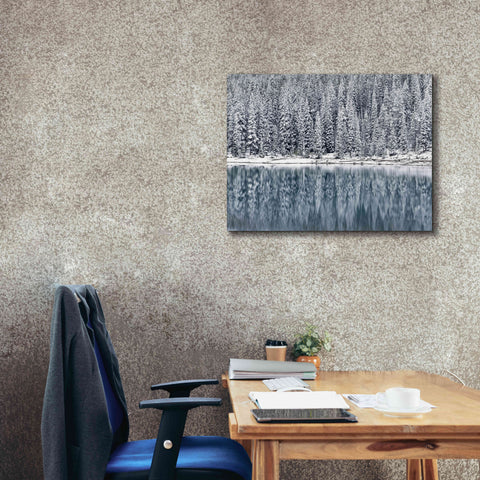 Image of 'Winter Reflections' by Alan Majchrowicz,Giclee Canvas Wall Art,34x26