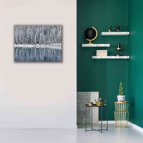 Image of 'Winter Reflections' by Alan Majchrowicz,Giclee Canvas Wall Art,34x26
