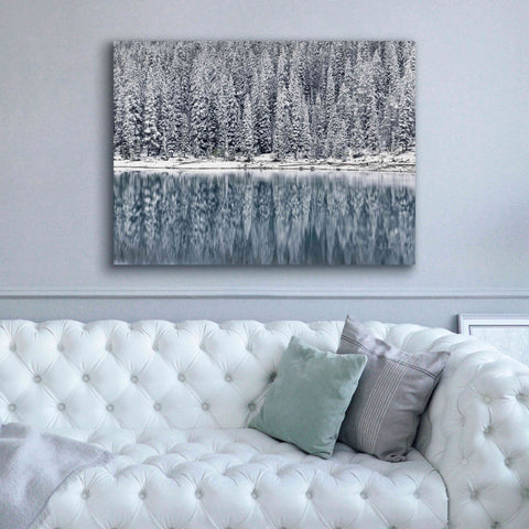 Image of 'Winter Reflections' by Alan Majchrowicz,Giclee Canvas Wall Art,54x40