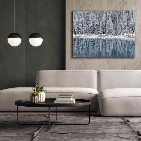 Image of 'Winter Reflections' by Alan Majchrowicz,Giclee Canvas Wall Art,54x40