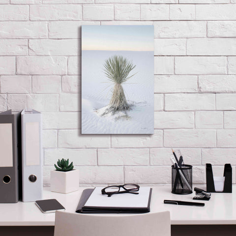 Image of 'Yucca in White Sands National Monument' by Alan Majchrowicz,Giclee Canvas Wall Art,12x18