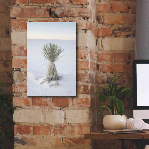 Image of 'Yucca in White Sands National Monument' by Alan Majchrowicz,Giclee Canvas Wall Art,12x18