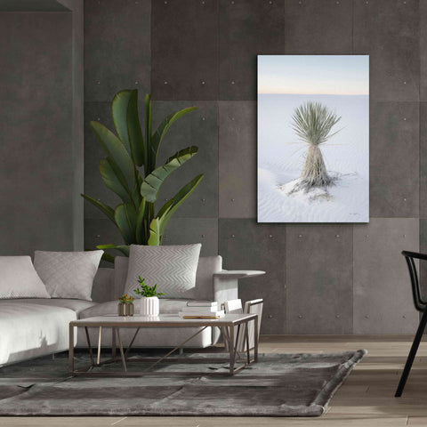 Image of 'Yucca in White Sands National Monument' by Alan Majchrowicz,Giclee Canvas Wall Art,40x60