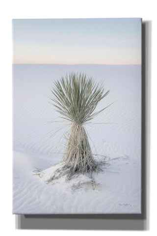 Image of 'Yucca in White Sands National Monument' by Alan Majchrowicz,Giclee Canvas Wall Art