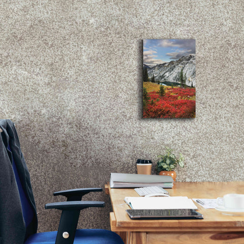 Image of 'Lake Ann North Cascades' by Alan Majchrowicz,Giclee Canvas Wall Art,12x18