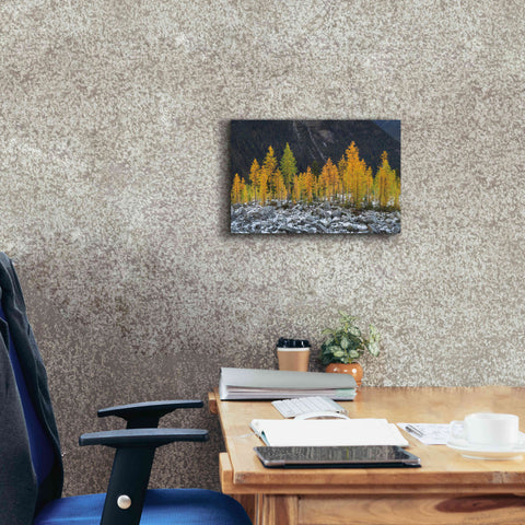 Image of 'Alpine Larches North Cascades' by Alan Majchrowicz,Giclee Canvas Wall Art,18x12