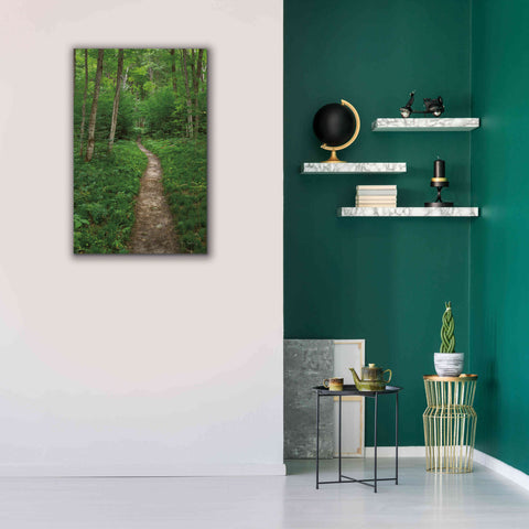Image of 'North Country Trail' by Alan Majchrowicz,Giclee Canvas Wall Art,26x40