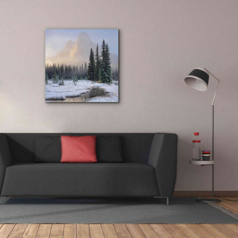 Image of 'Bell Mountain North Cascades II' by Alan Majchrowicz,Giclee Canvas Wall Art,37x37