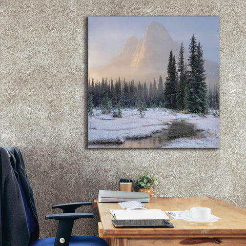 Image of 'Bell Mountain North Cascades II' by Alan Majchrowicz,Giclee Canvas Wall Art,37x37