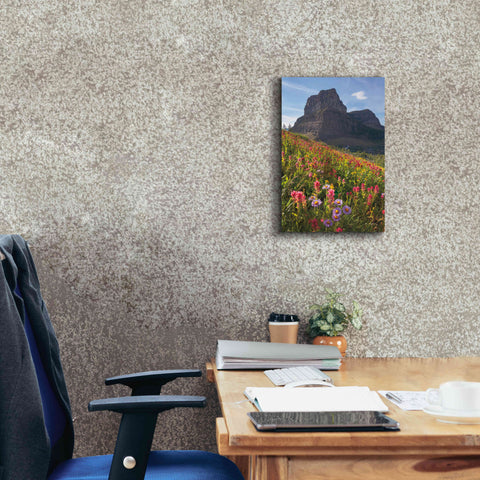 Image of 'Boulder Pass Wildflowers' by Alan Majchrowicz,Giclee Canvas Wall Art,12x18