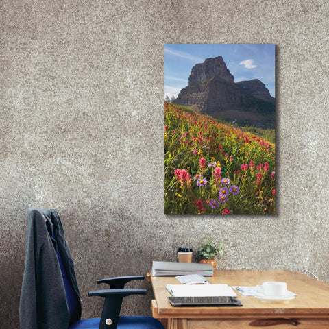 Image of 'Boulder Pass Wildflowers' by Alan Majchrowicz,Giclee Canvas Wall Art,26x40