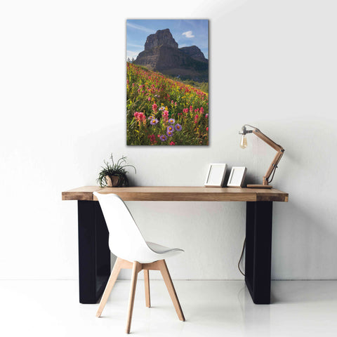 Image of 'Boulder Pass Wildflowers' by Alan Majchrowicz,Giclee Canvas Wall Art,26x40