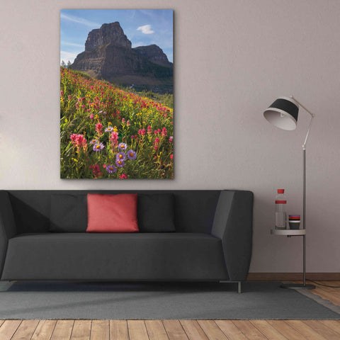 Image of 'Boulder Pass Wildflowers' by Alan Majchrowicz,Giclee Canvas Wall Art,40x60