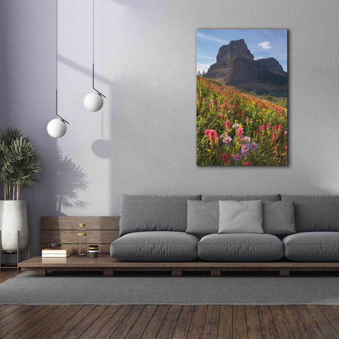 Image of 'Boulder Pass Wildflowers' by Alan Majchrowicz,Giclee Canvas Wall Art,40x60