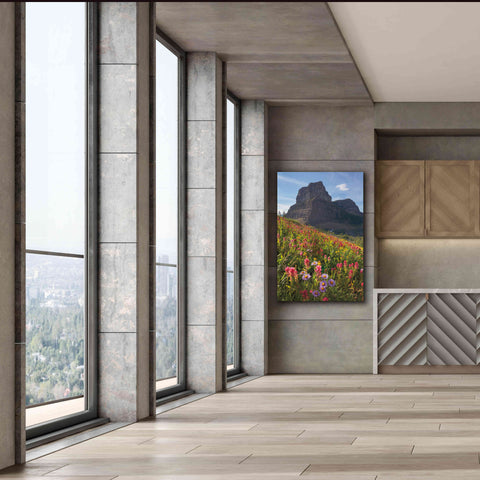 Image of 'Boulder Pass Wildflowers' by Alan Majchrowicz,Giclee Canvas Wall Art,40x60