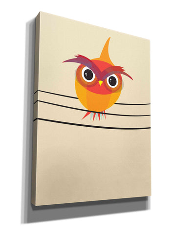 Image of 'Owl on a Wire' by Volkan Dalyan, Giclee Canvas Wall Art