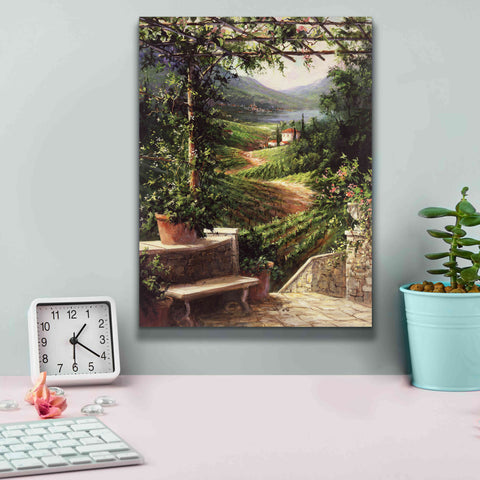 Image of 'Chianti Vineyard' by Art Fronckowiak, Giclee Canvas Wall Art,12x16