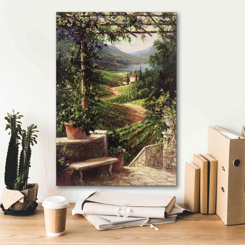 Image of 'Chianti Vineyard' by Art Fronckowiak, Giclee Canvas Wall Art,18x26