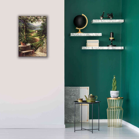 Image of 'Chianti Vineyard' by Art Fronckowiak, Giclee Canvas Wall Art,18x26