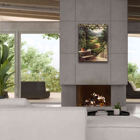 Image of 'Chianti Vineyard' by Art Fronckowiak, Giclee Canvas Wall Art,26x34