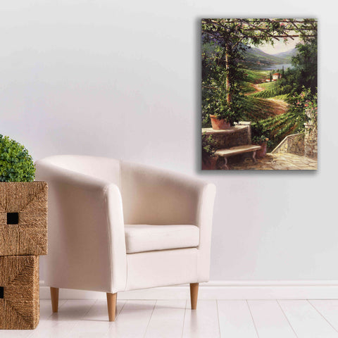 Image of 'Chianti Vineyard' by Art Fronckowiak, Giclee Canvas Wall Art,26x34