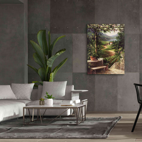 Image of 'Chianti Vineyard' by Art Fronckowiak, Giclee Canvas Wall Art,40x54