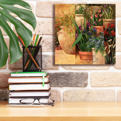 Image of 'Flower Pots Left' by Art Fronckowiak, Giclee Canvas Wall Art,12x12