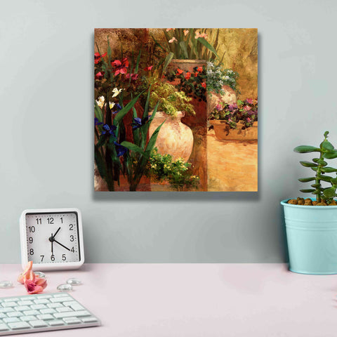 Image of 'Flower Pots Right' by Art Fronckowiak, Giclee Canvas Wall Art,12x12