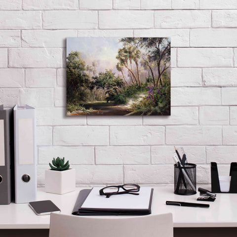 Image of 'Myakka River Scene' by Art Fronckowiak, Giclee Canvas Wall Art,16x12